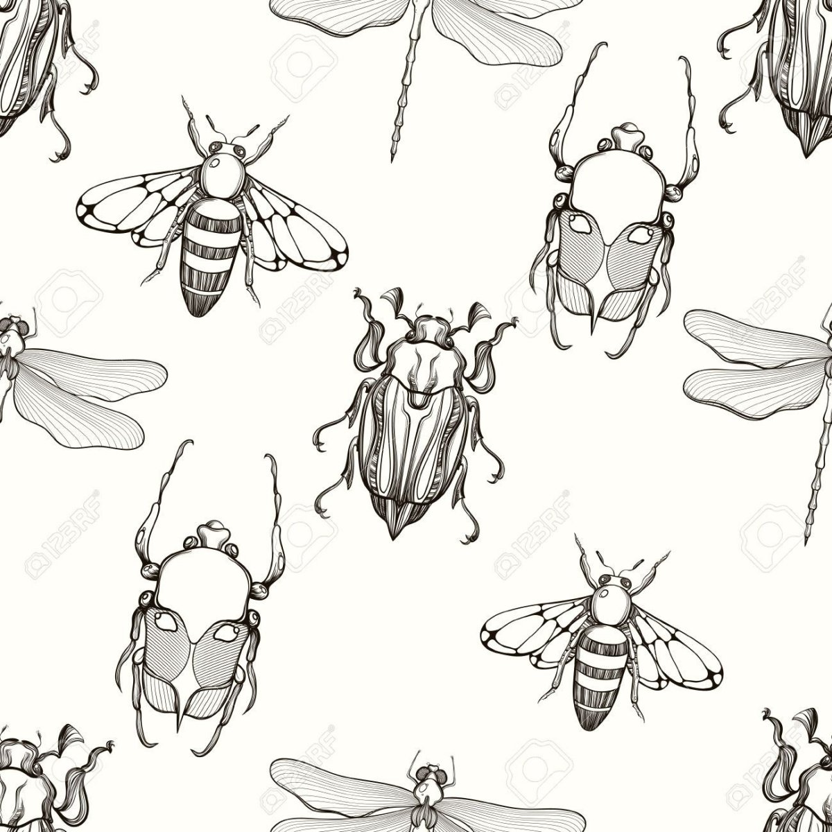 Жук чёрный Сосновый усач