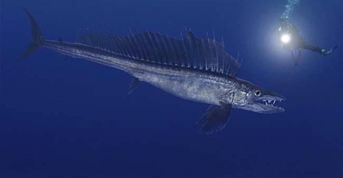 Алепизавр в море