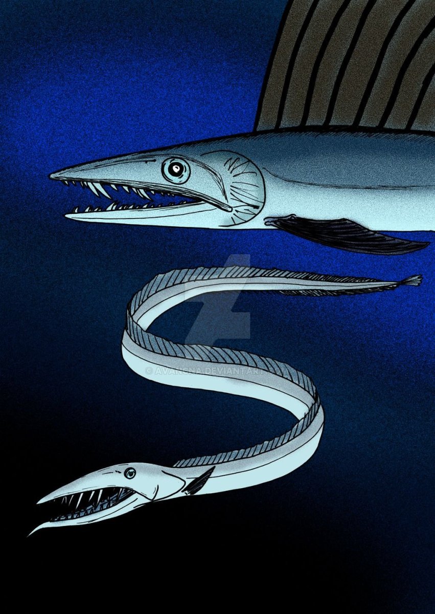 Рыба большеголовый алепизавр