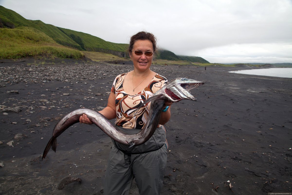 Рыба Alepisaurus Ferox