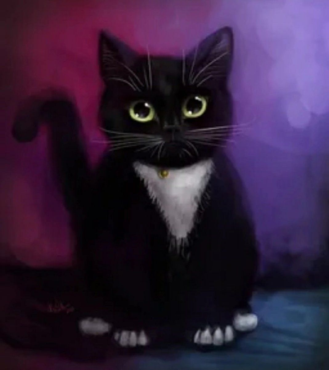 Чёрный кот арт