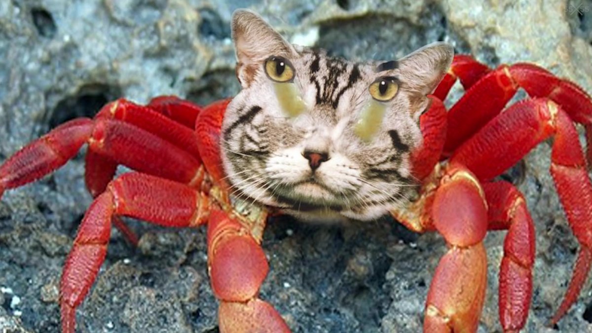 Милые Крабы