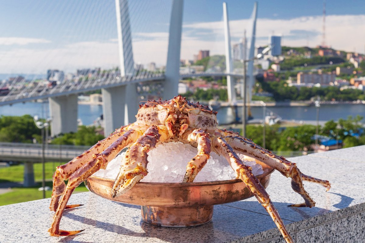 Камчатский краб Приморье