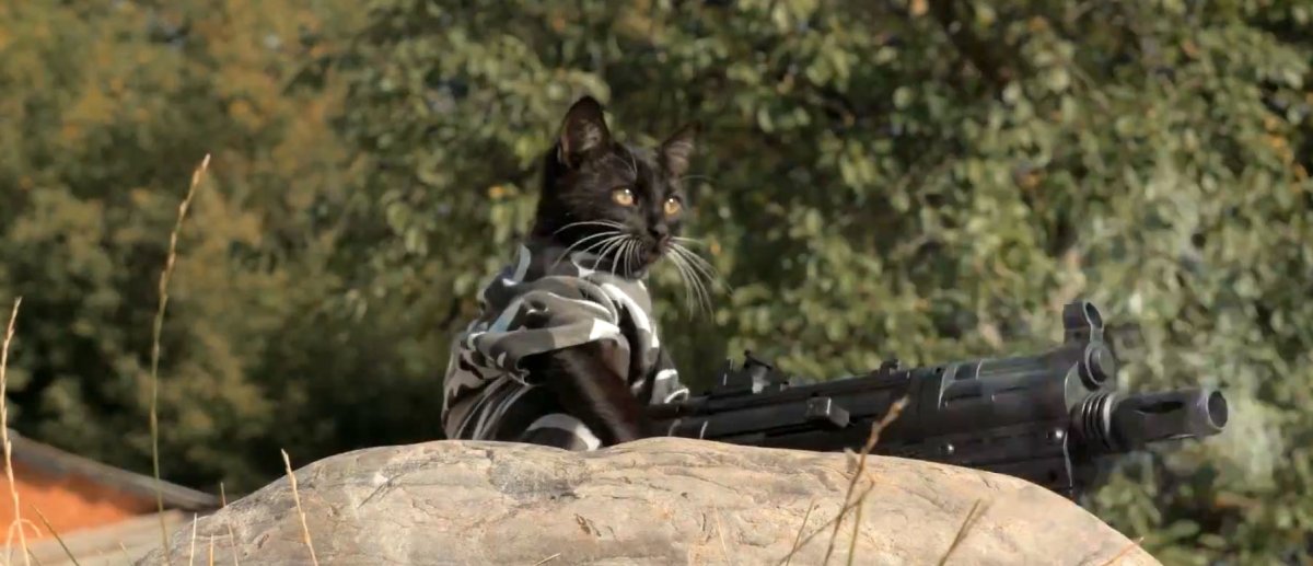 Хомяк Дарт Вейдер