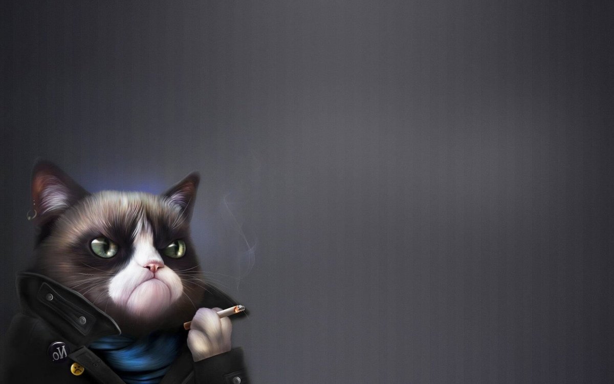 Гангста кот