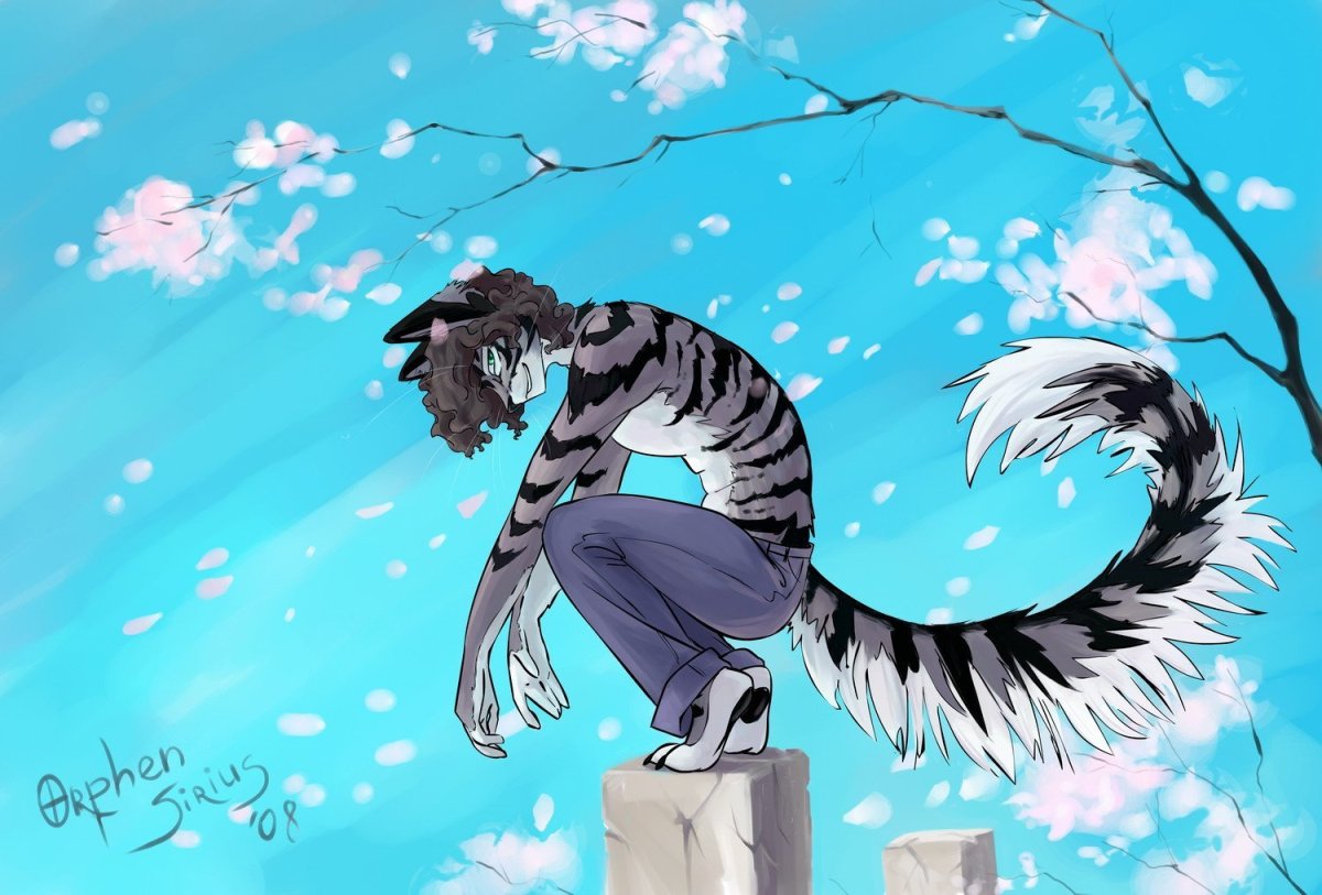 Аниме звери