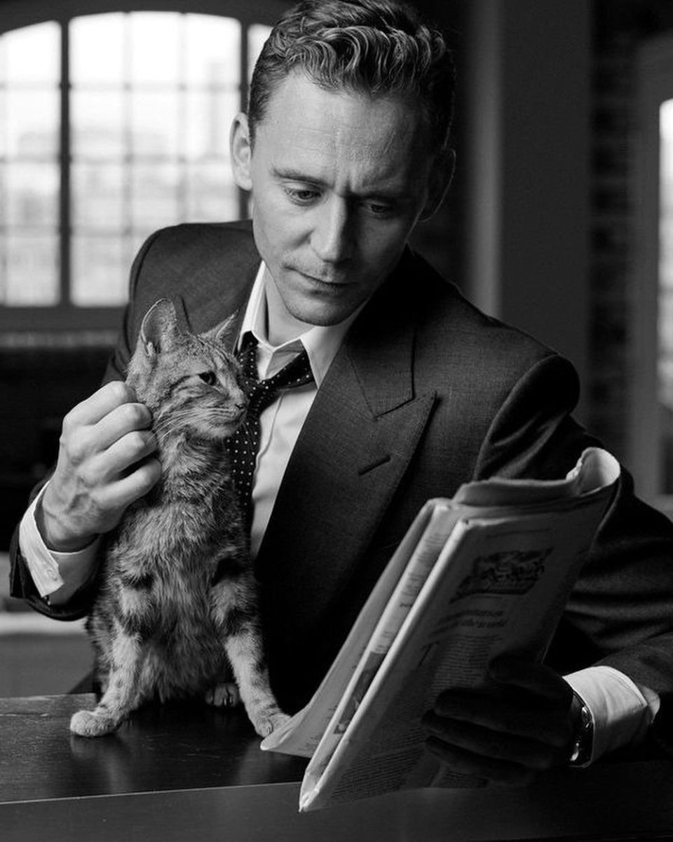 Том Хиддлстон с котиком
