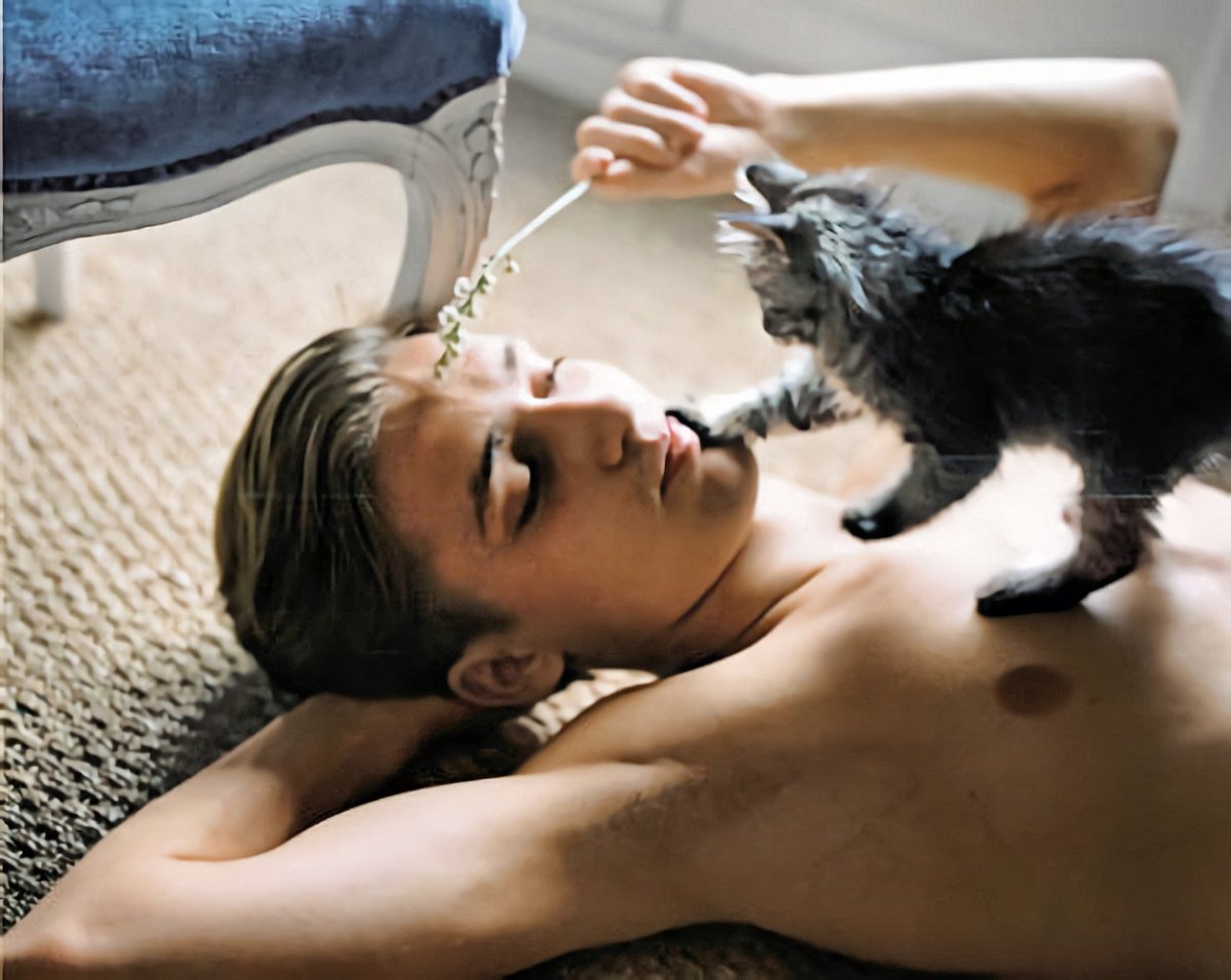 Кошечка на мужчине