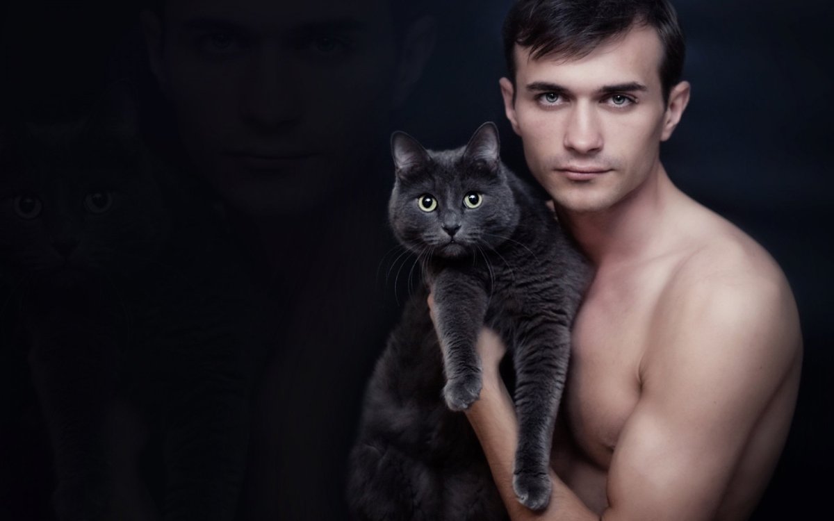 Накаченный кот