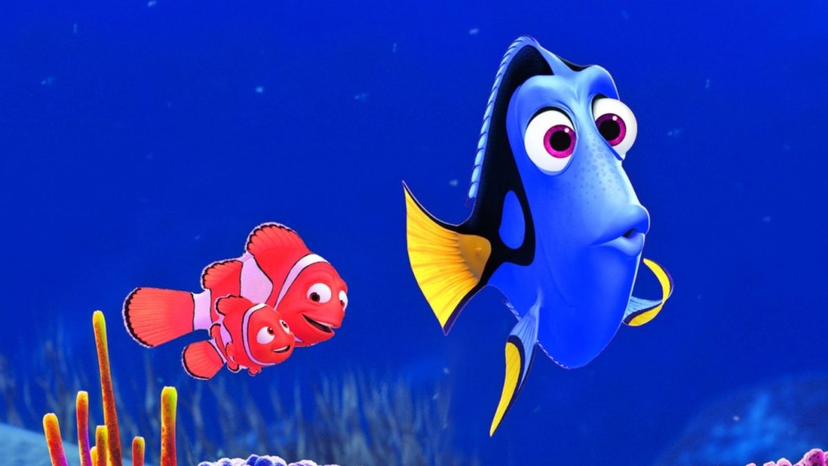 Рыбка дори порода