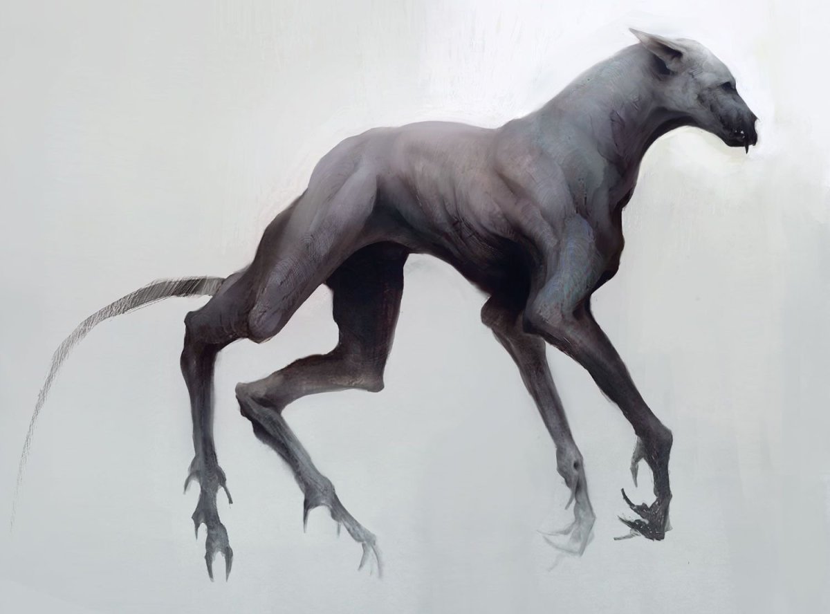 Комната для собачки