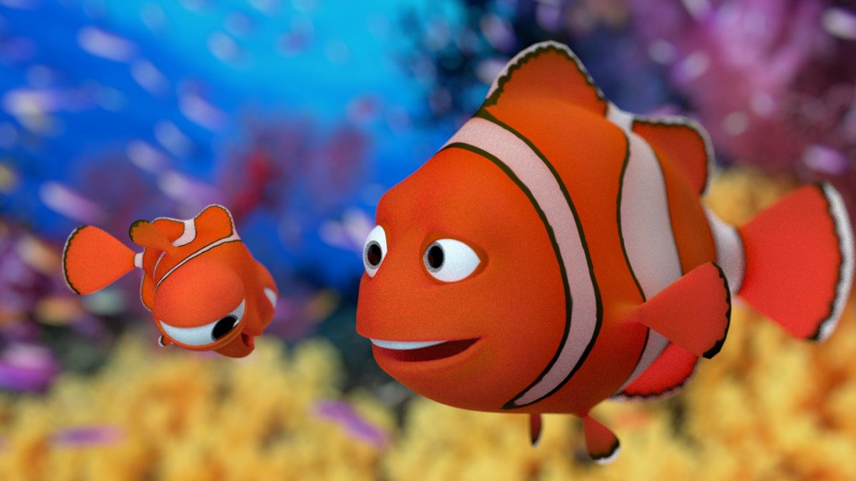 Acanthurus leucosternon