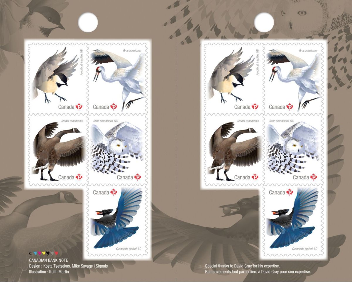 Птицы Канады