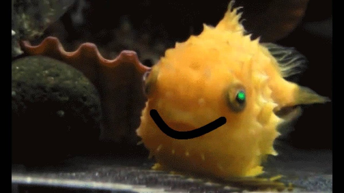 Речные рыбы