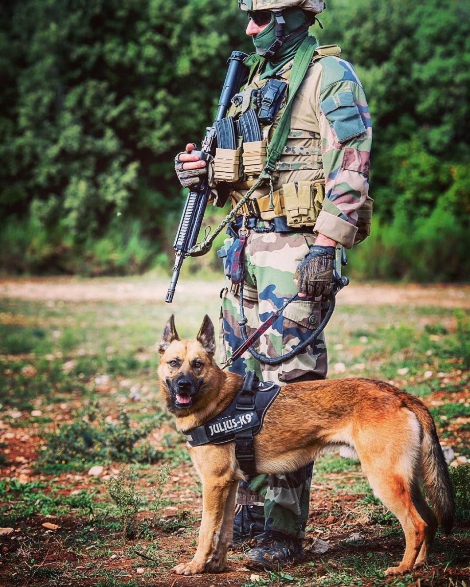 K9 овчарка Army