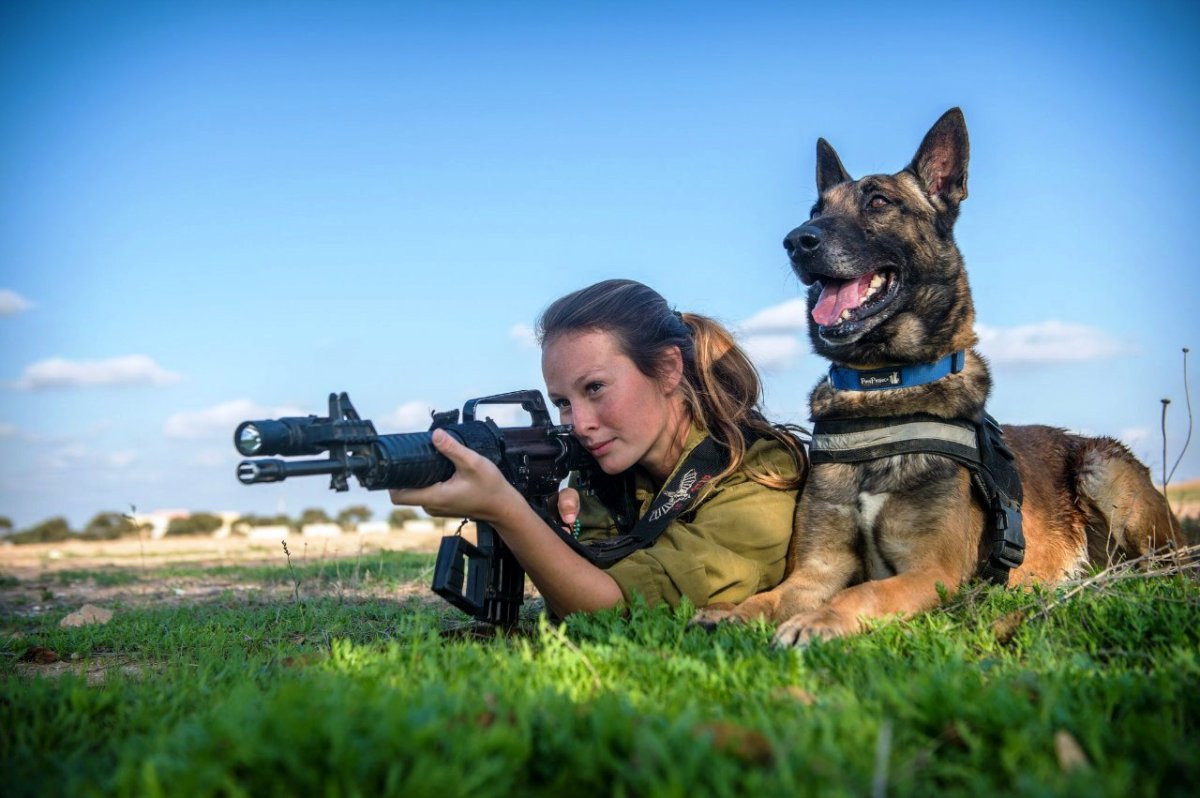 Малинуа милитари