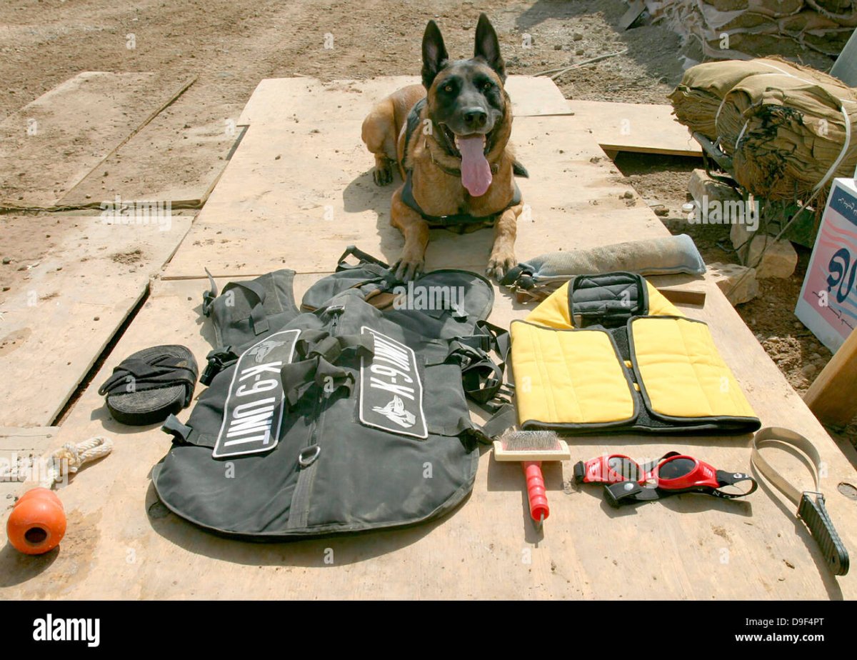 Снаряжение служебных собак