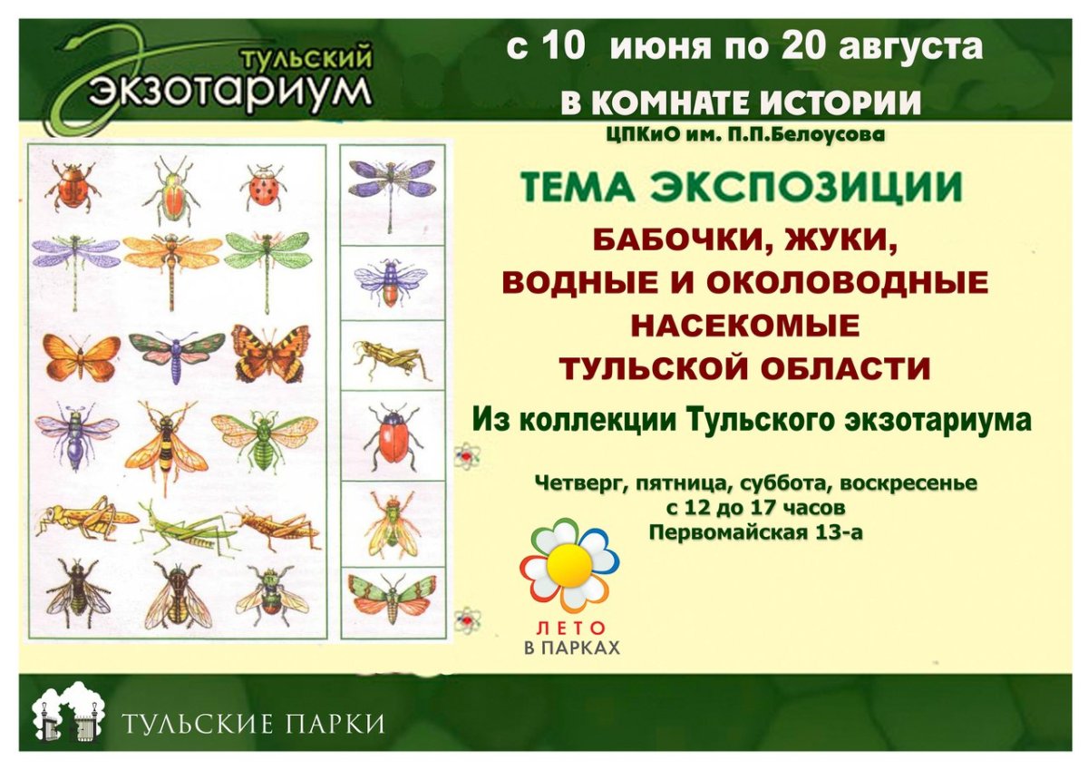 Насекомые Тульской области