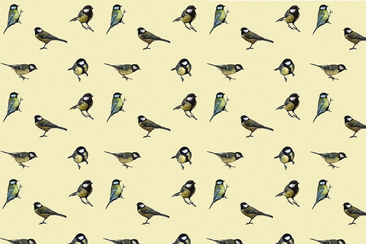 Колибри Пчелка самая маленькая птица в мире