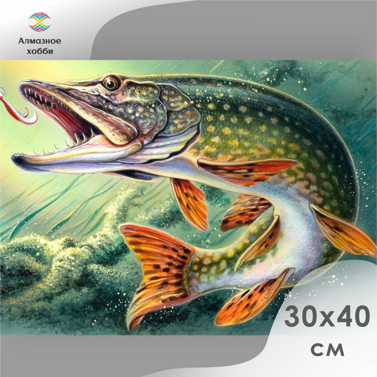 Щука рыба щука