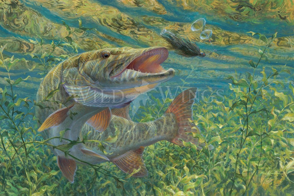 Картина щука в воде