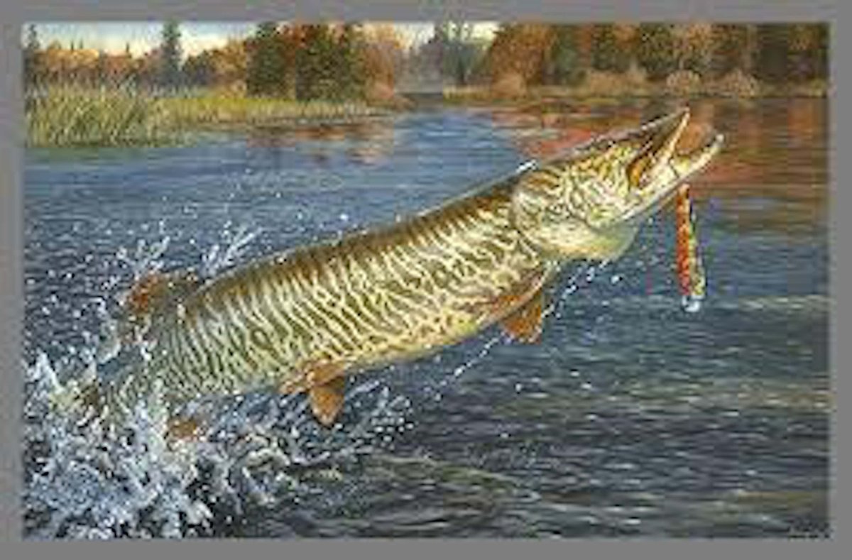 Картина щука Пайк