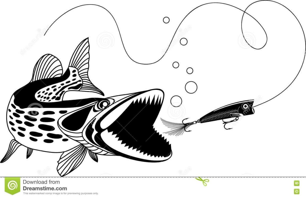 Щука чёрно белая