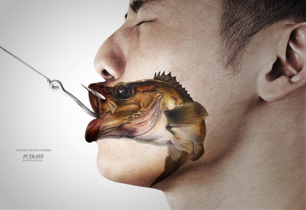 Рыба на крючке