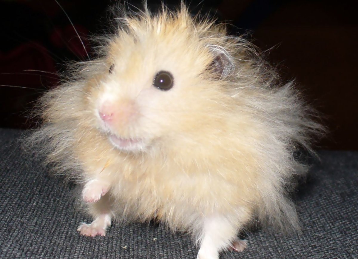 Я завтра встану пораньше помою голову красиво оденусь