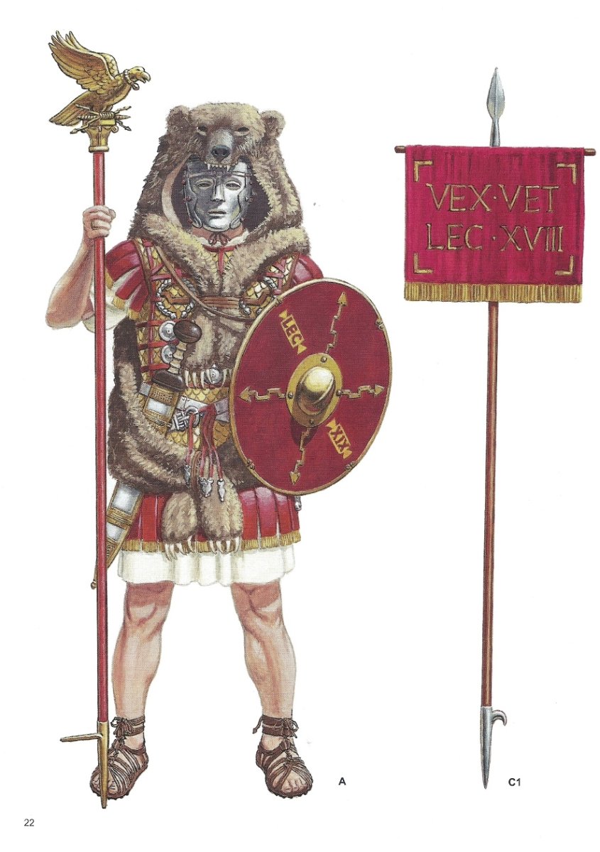 Доспех для собаки