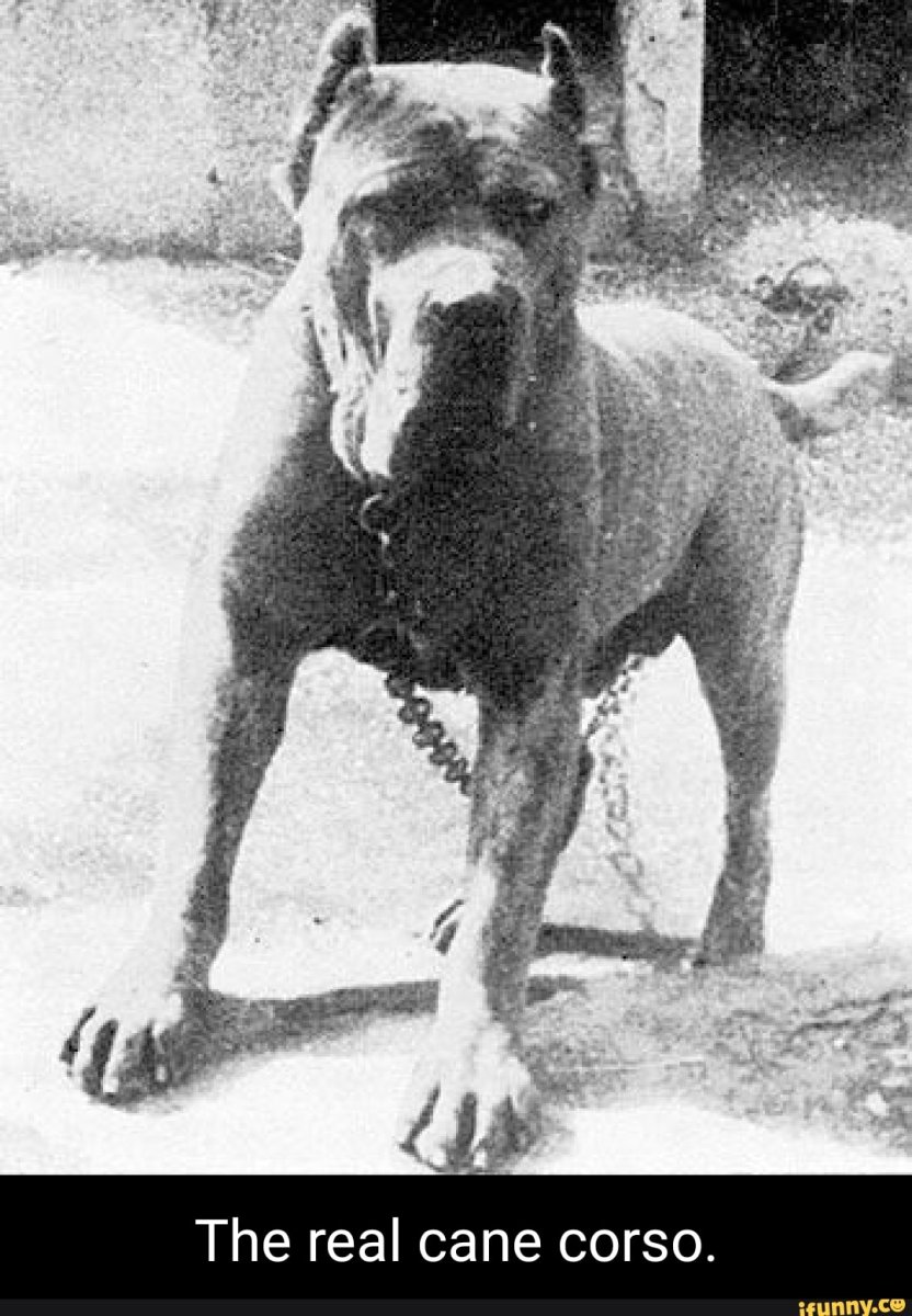 Униформа римских легионеров