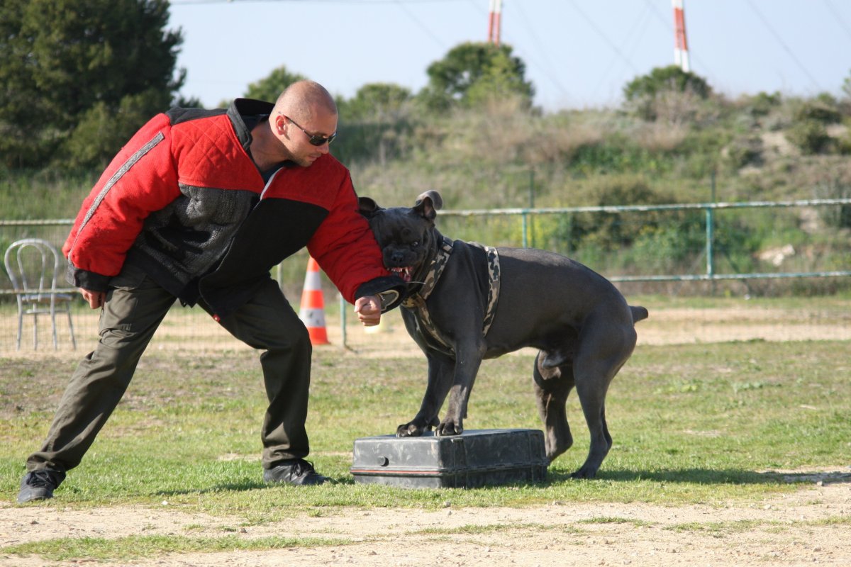 Исторический фестиваль Рим