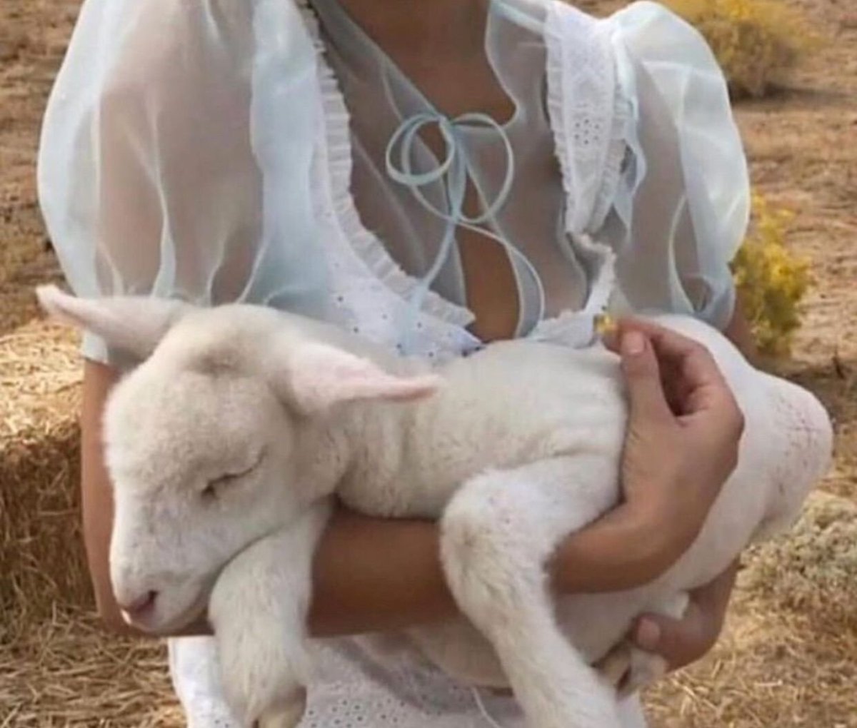 Кокосовая коза Геншин