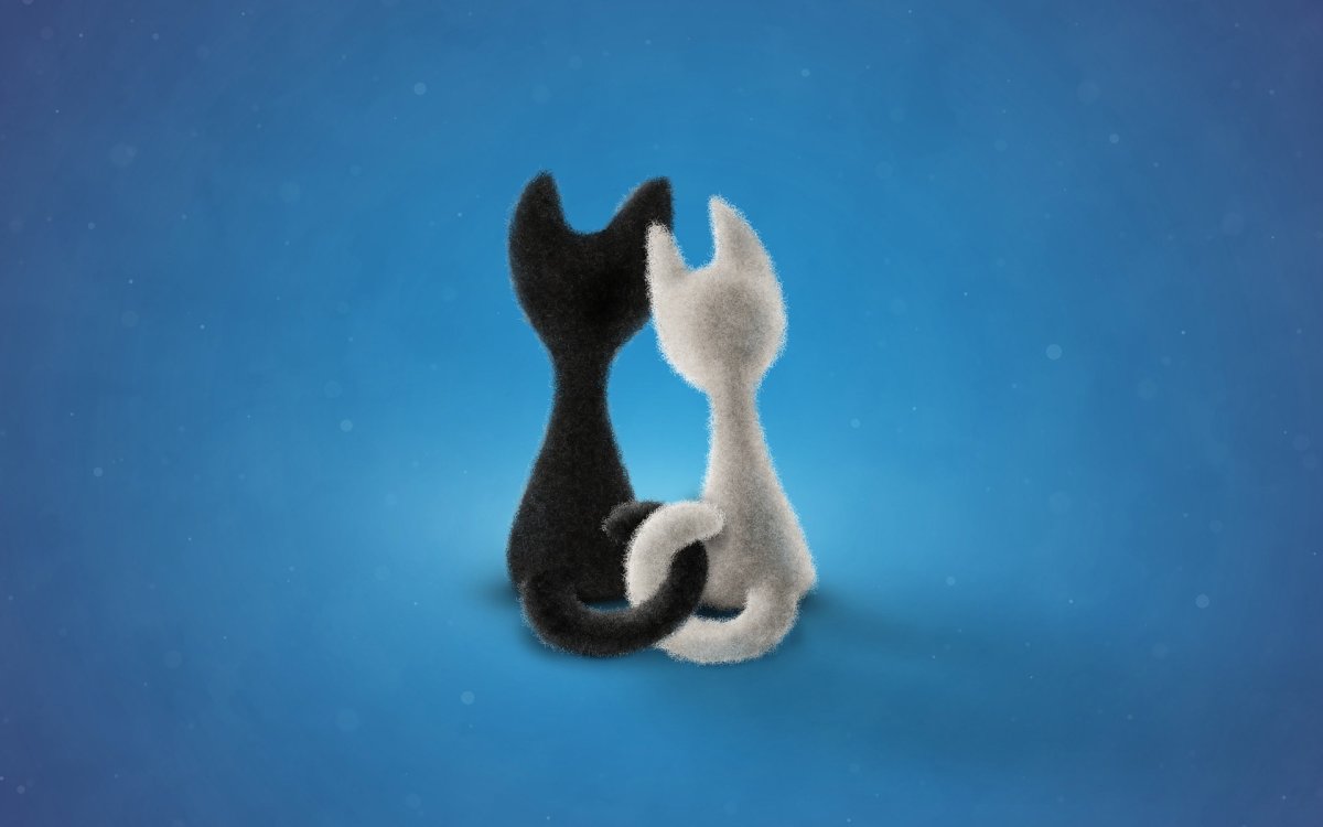 Коты с переплетенными хвостами