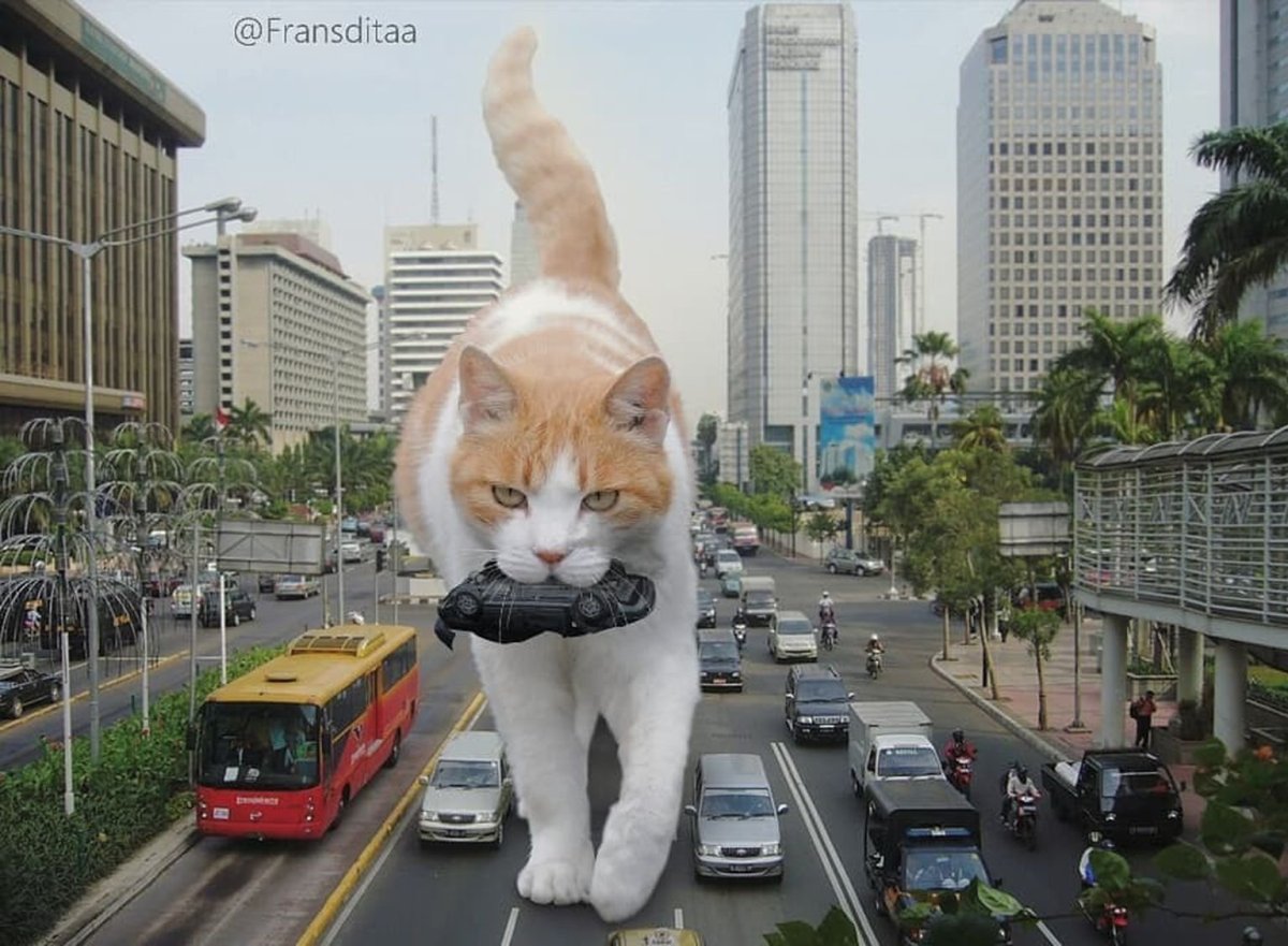 Гигантский кот