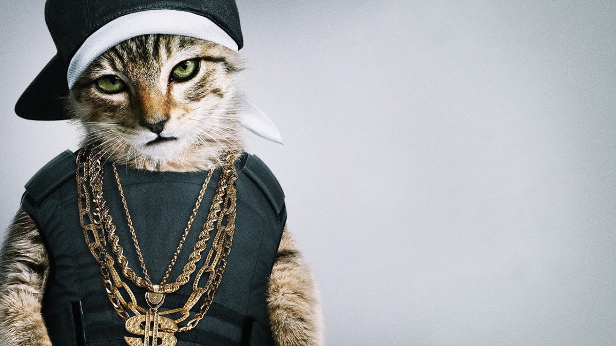 Коты РЭПЕРЫ