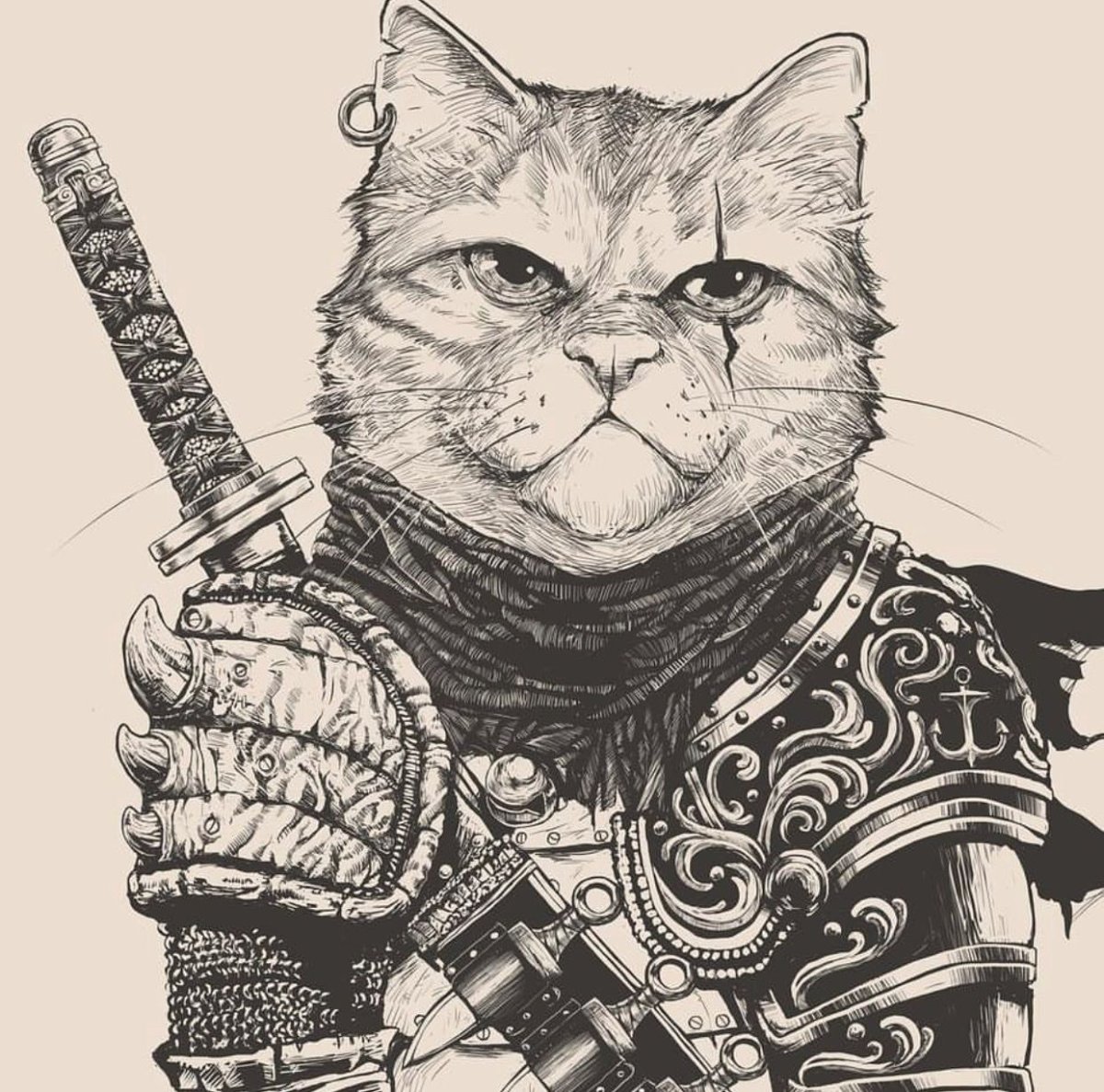 Кот Самурай