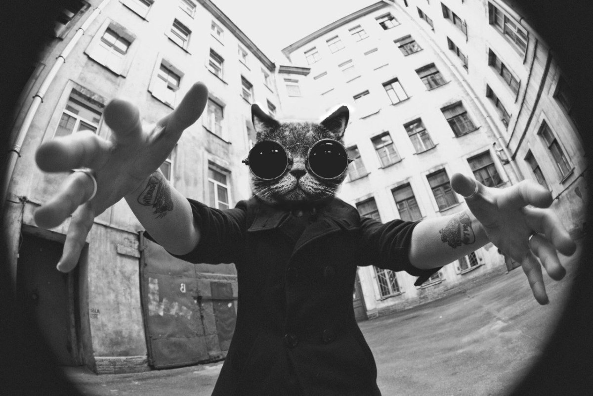 Классные авы