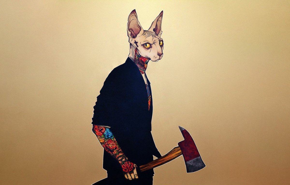 Кот сфинкс арт