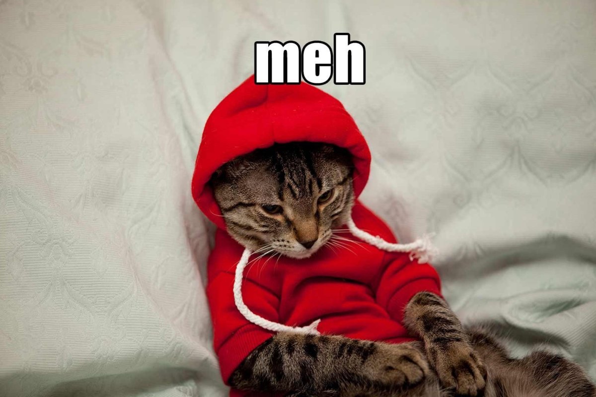 Кот в толстовке с капюшоном