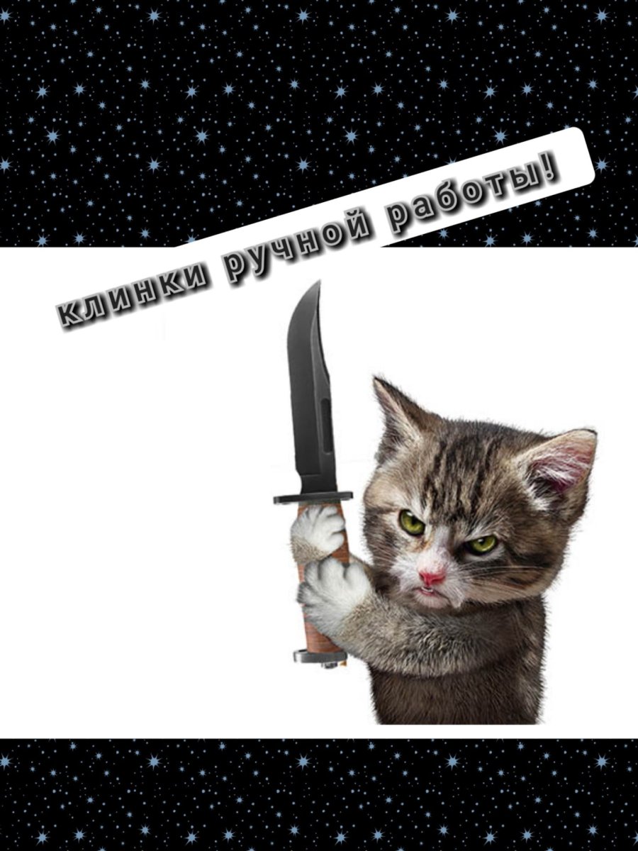 Кот с ножиком