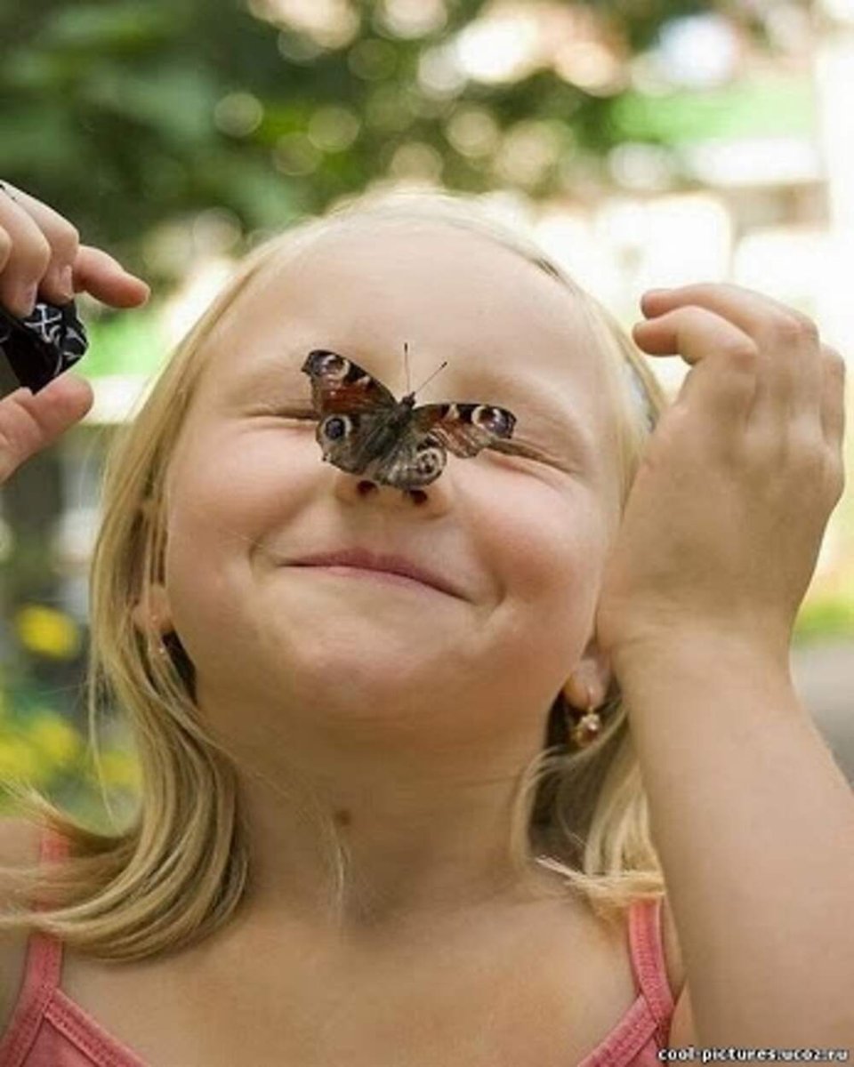 Доброе утро собаки