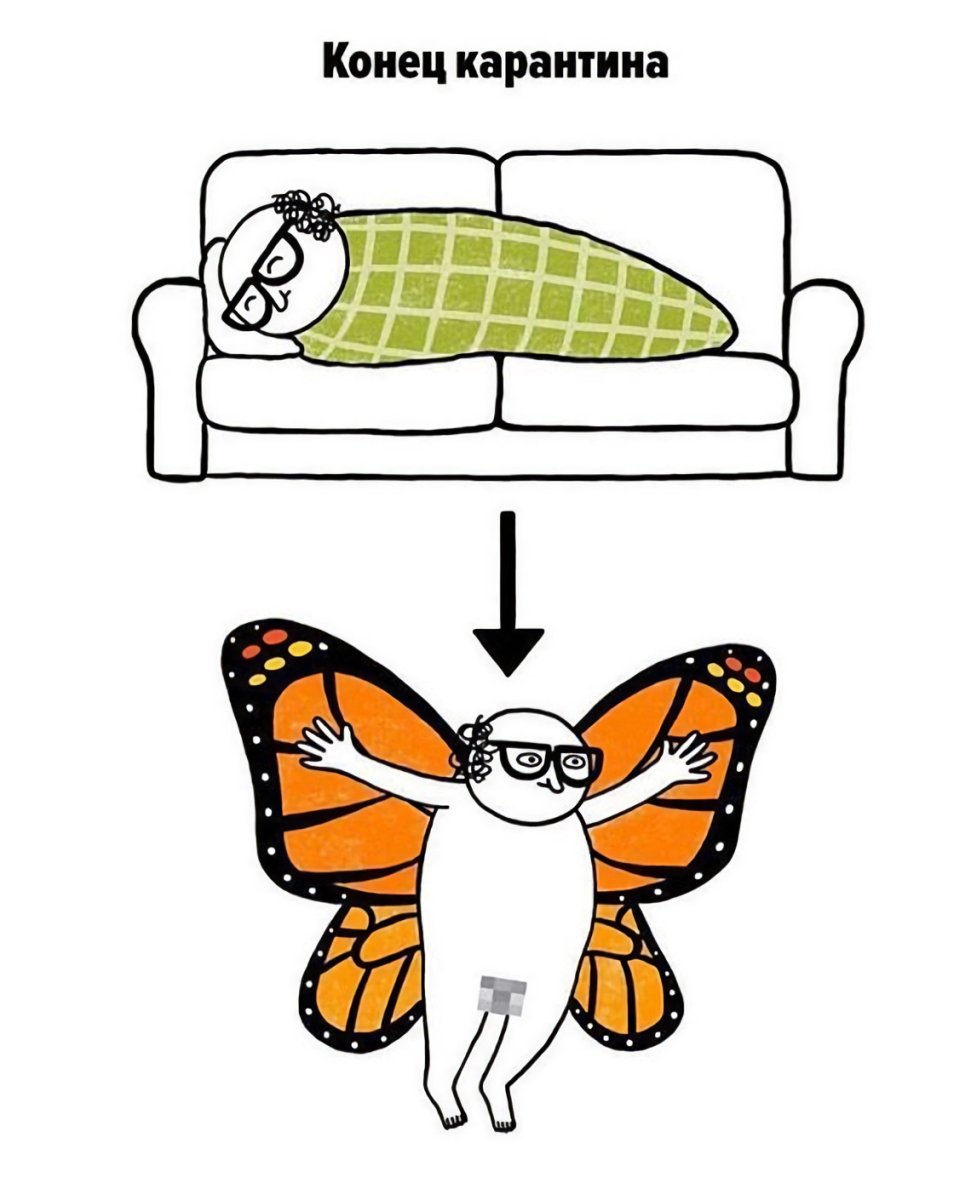 Животные с кошачьей мордочкой