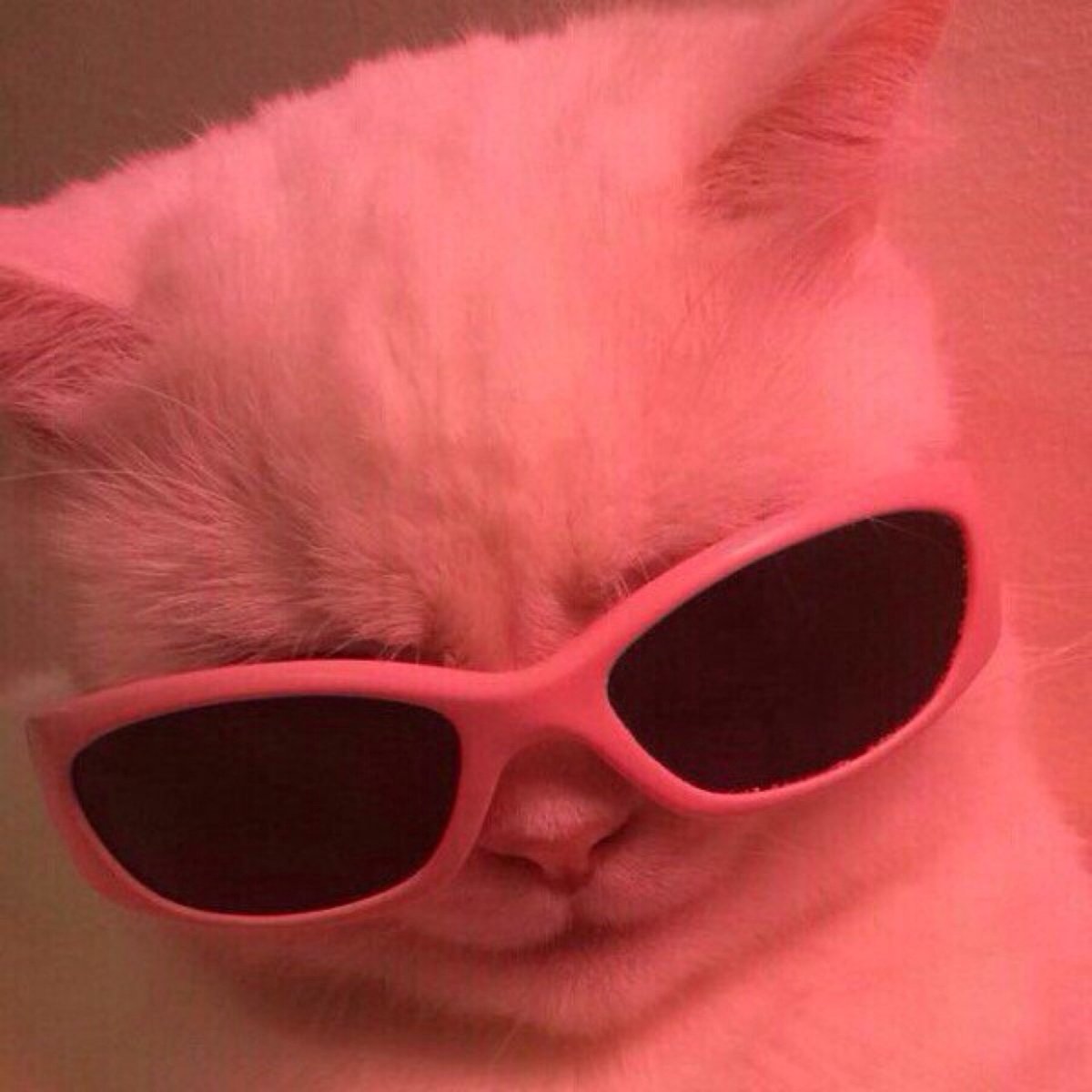 Розовая и белая моль