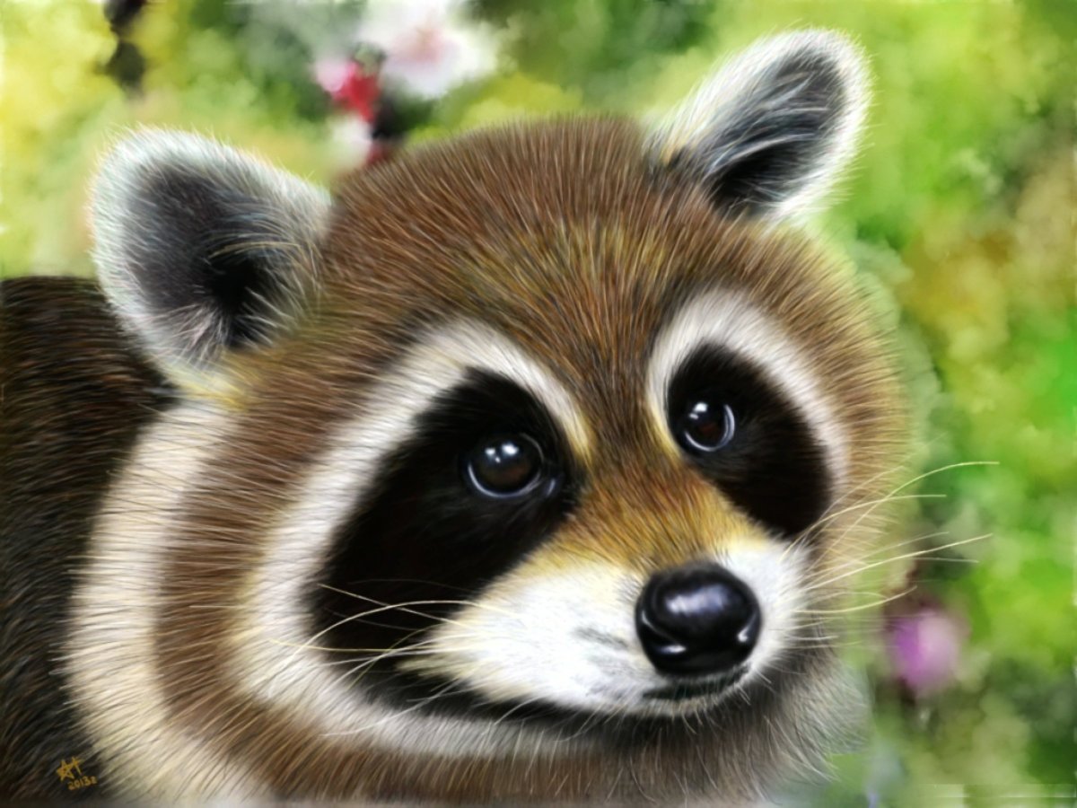 Тресмариасский енот