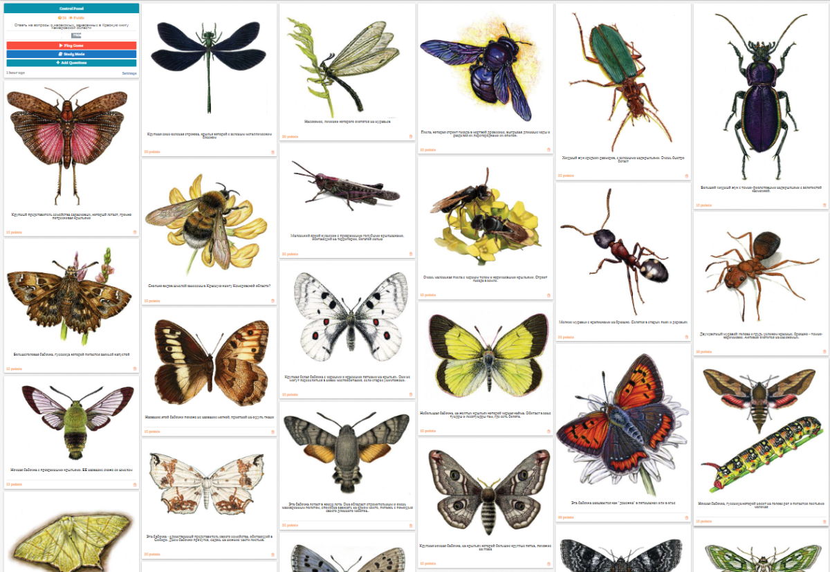 Красная книга Санкт-Петербурга насикомыеописание