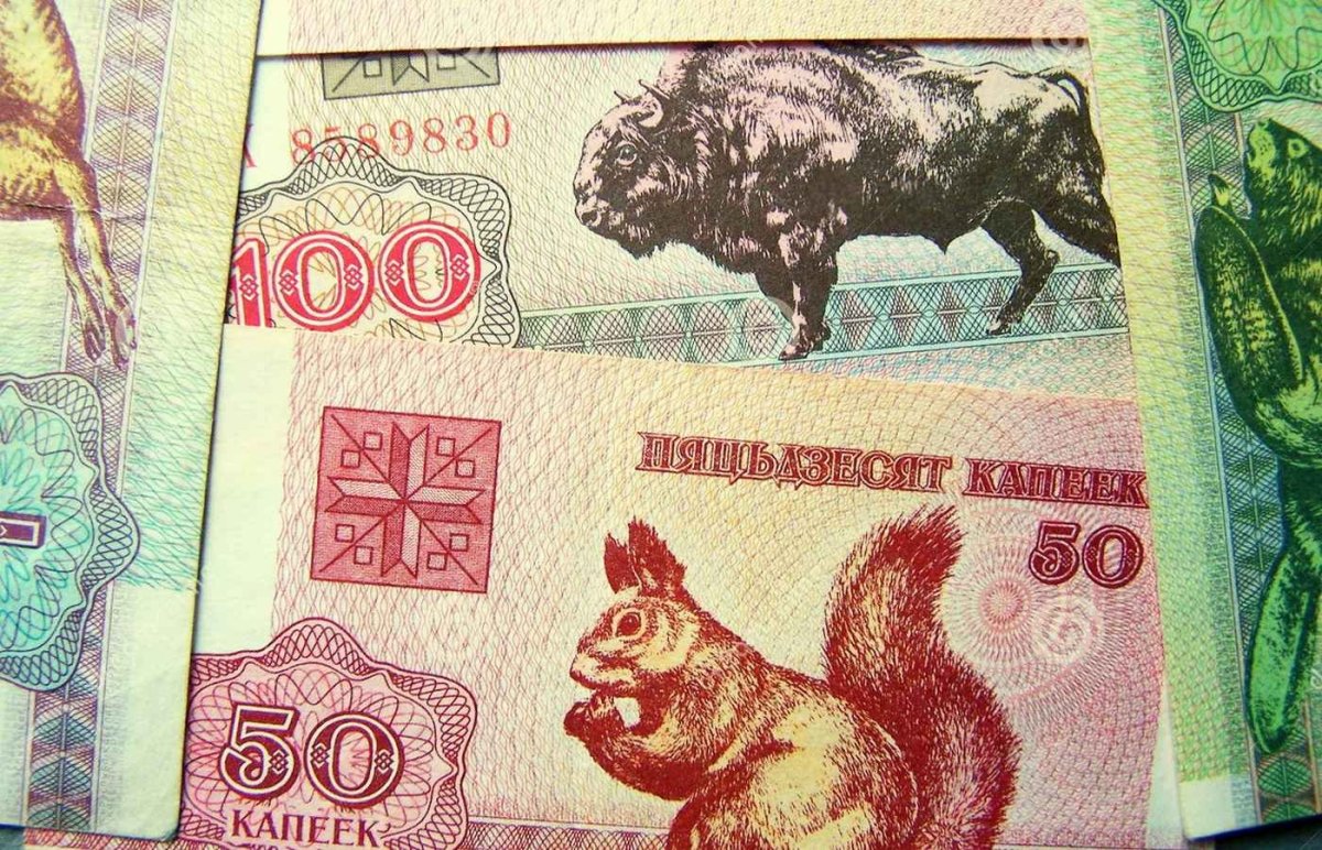 Зайчики Белорусские деньги