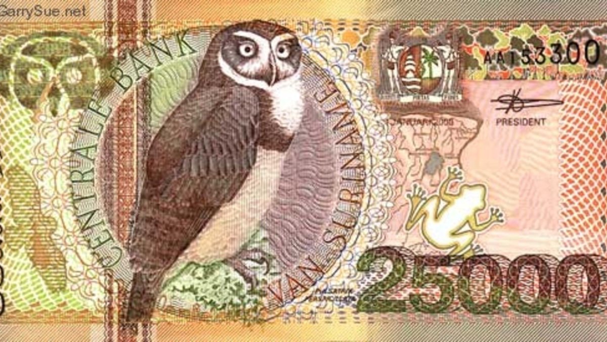 Кот с деньгами