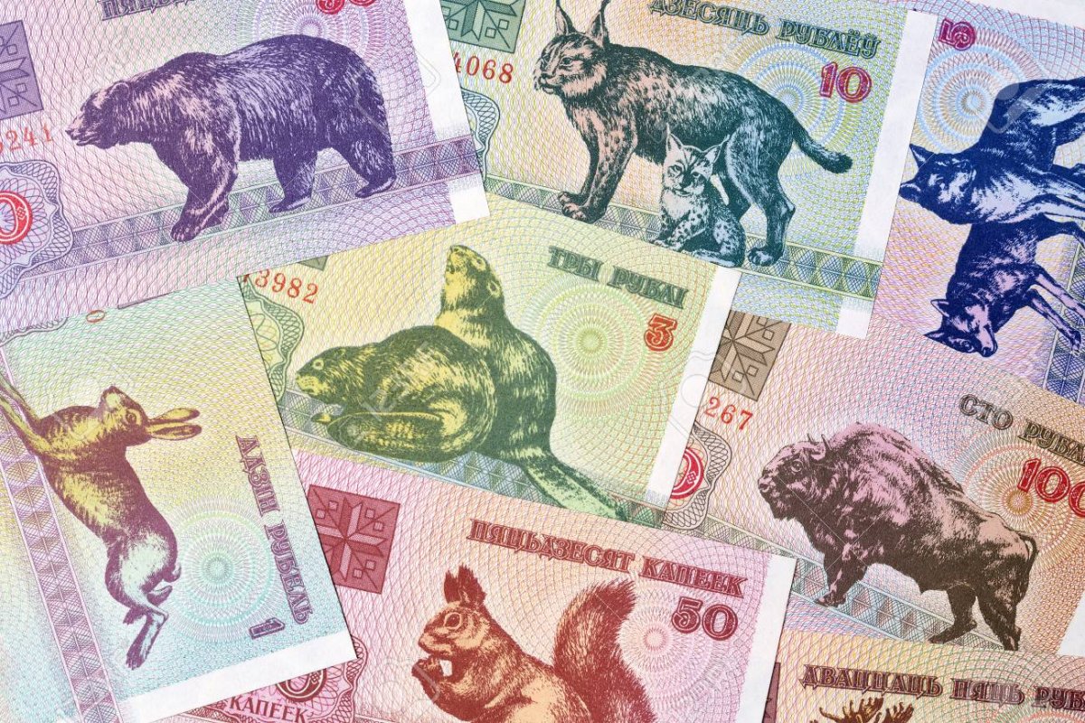 Белорусские зайчики