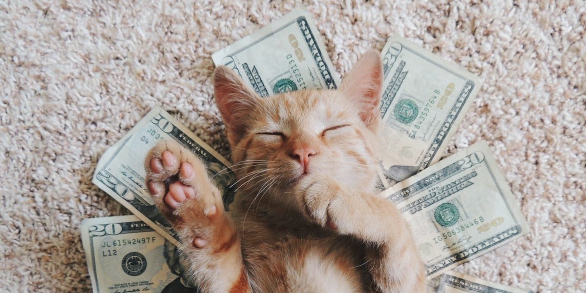 Зайчики валюта в Белоруссии